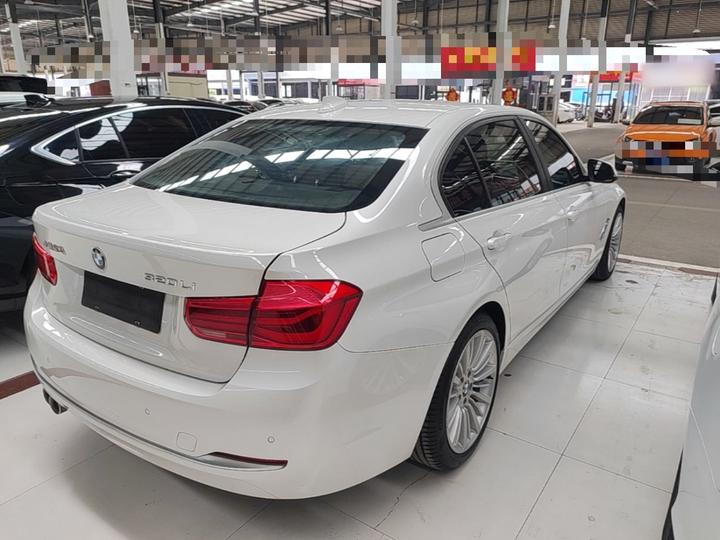 3 Series 2018 320Li Fashion photo 4