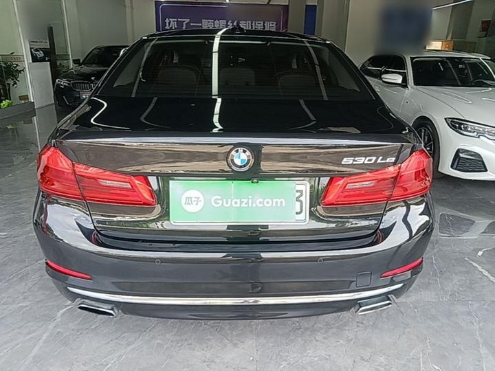 5 Series EV 2019 530Le Luxury photo 3