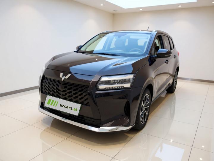 730 EV 2025 125km Luxury