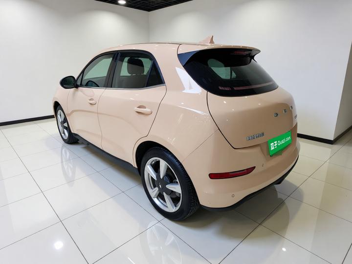 Good Cat 2023 401km Standard Range Premium LFP photo 4