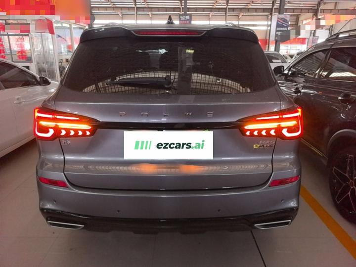 RX5 EV 2020 ePLUS Flagship photo 3