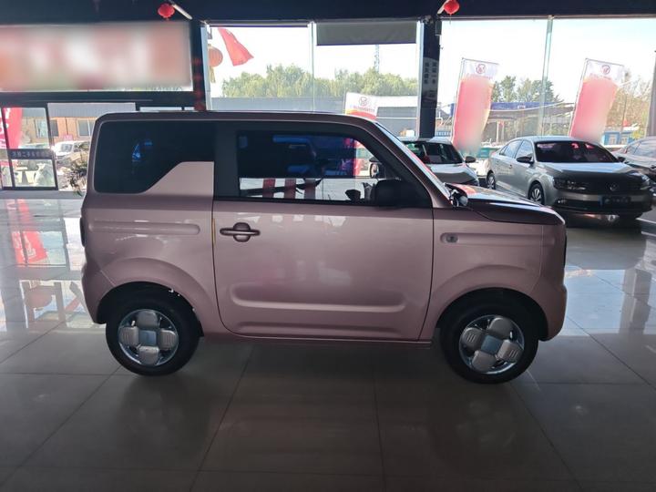 2024 Panda mini 200km Endurance Bear photo 3