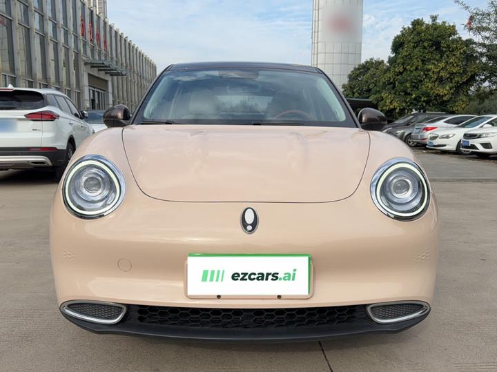 Good Cat 2021 400km Standard Range NCM photo 2