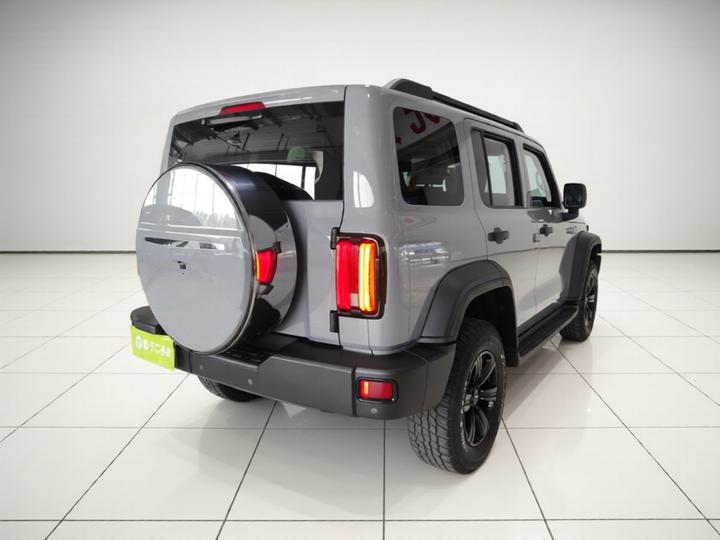 300 2021 Off-road 2.0T Conqueror photo 6