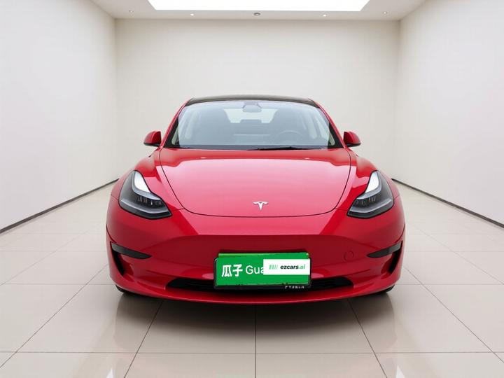Model 3 2021 Facelift Standard Range RWD Upgraded 3D1 photo 2