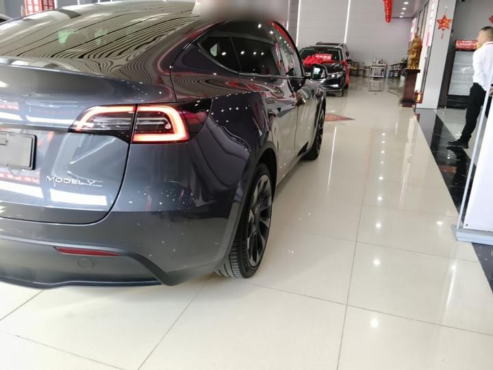 Model Y 2021 Long Range AWD 3D7 photo 7