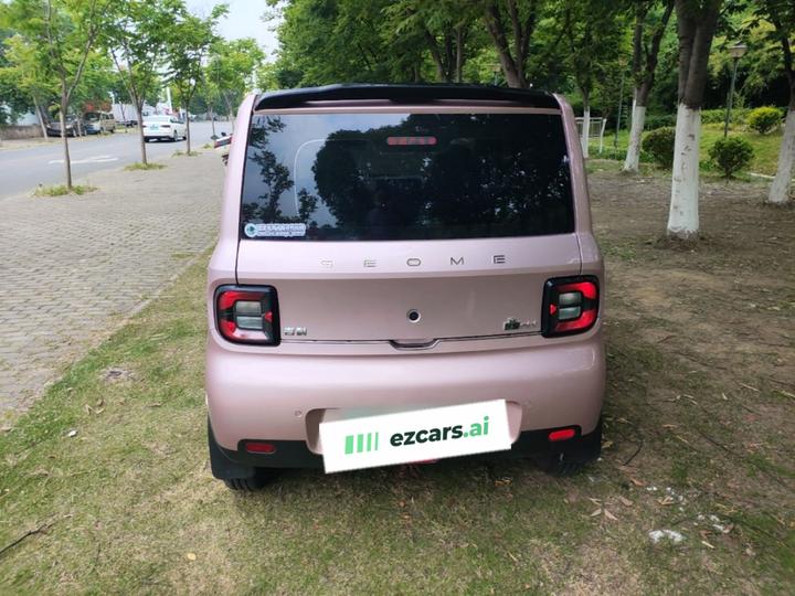 2025 Panda mini 210km Yuan photo 3