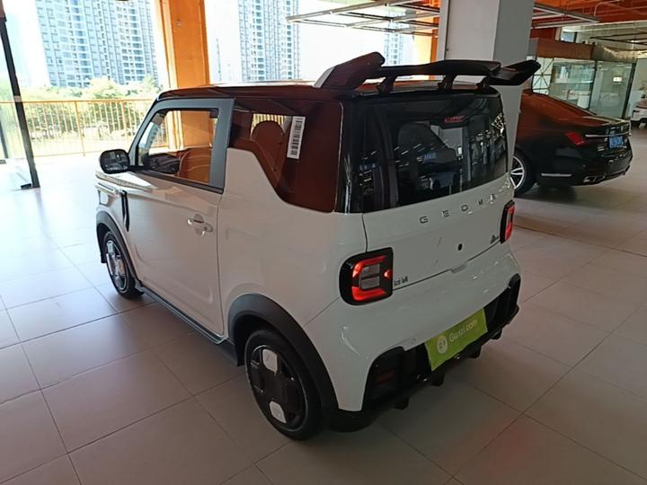 2025 210km Panda photo 4