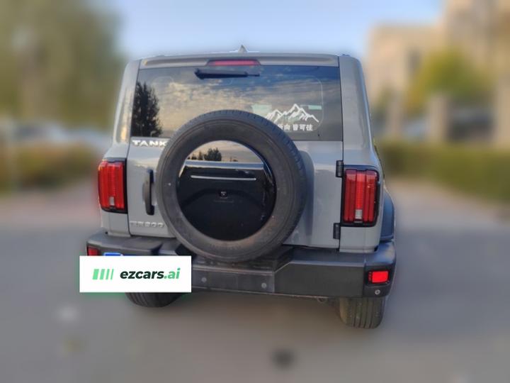 300 2021 Off-road 2.0T photo 5