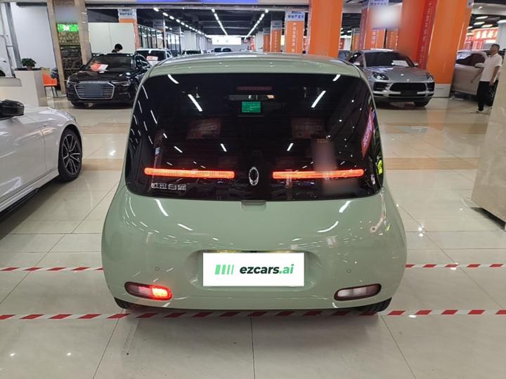 2020 305km Luxury photo 3