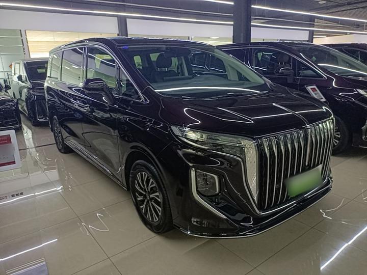 HQ9 PHEV 2024 2.0T AWD Business photo 3