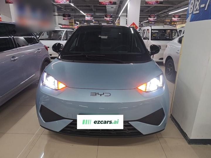 Seagull 2025 ADAS 305km photo 2