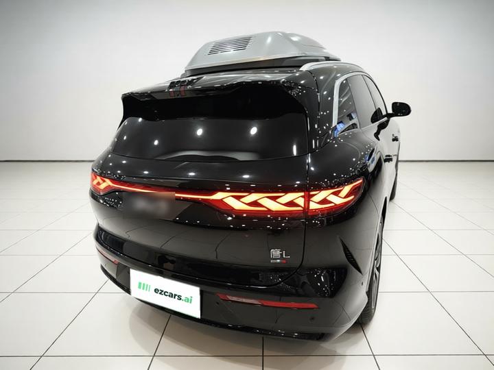 Tang L 2025 DM 175KM photo 5
