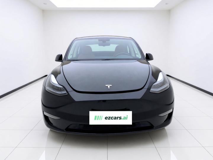 Model Y 2023 Long Range AWD photo 2