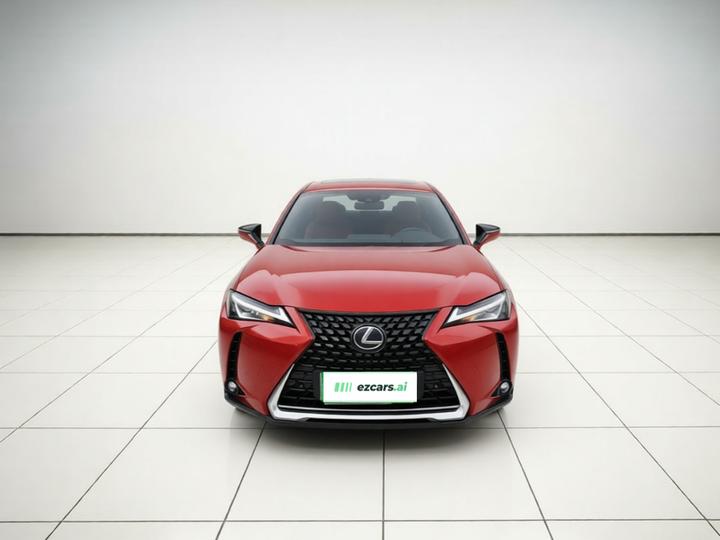 UX EV 2020 300e photo 2