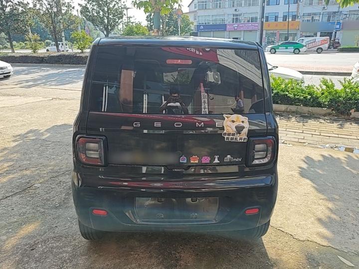 2023 Panda mini 200km Endurance Bear photo 5