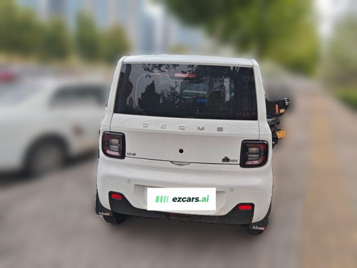 2024 Panda mini 200km Endurance Bear photo 5