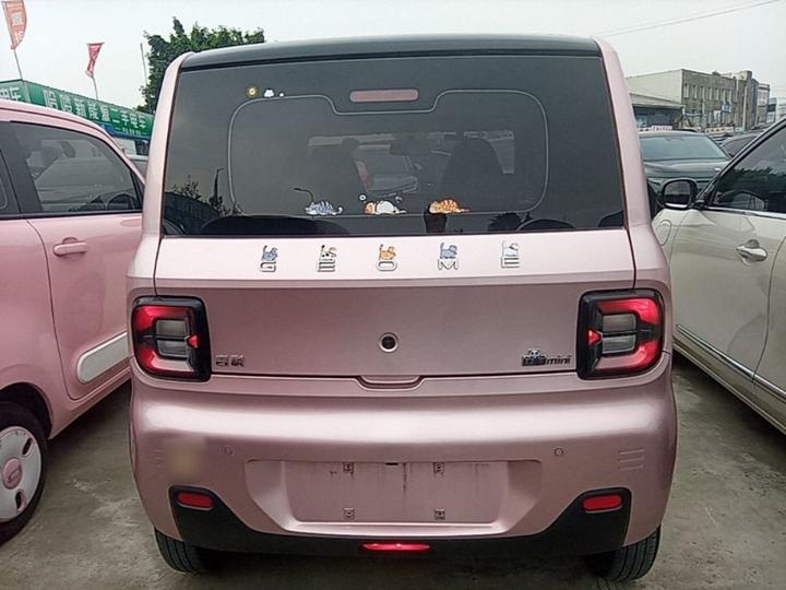 2023 Panda mini 200km Endurance Bear photo 3