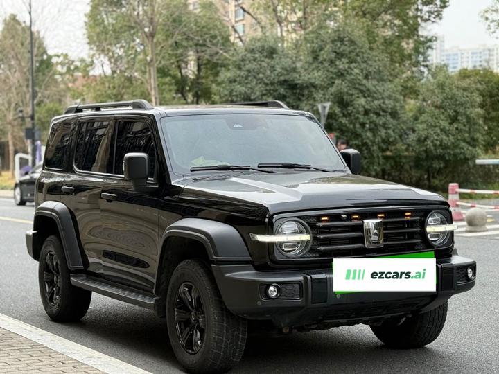 300 2021 Off-road 2.0T Conqueror photo 4