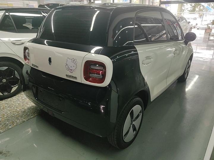 2019 301km Standard photo 6