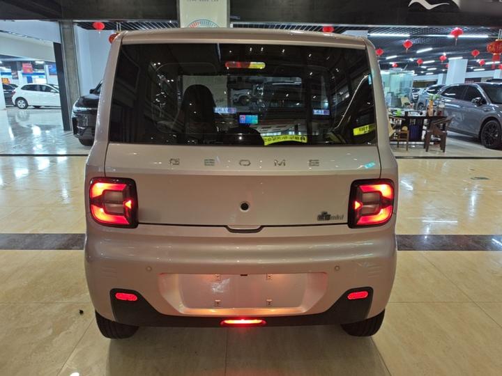 2023 Panda mini 200km Endurance Bear photo 3