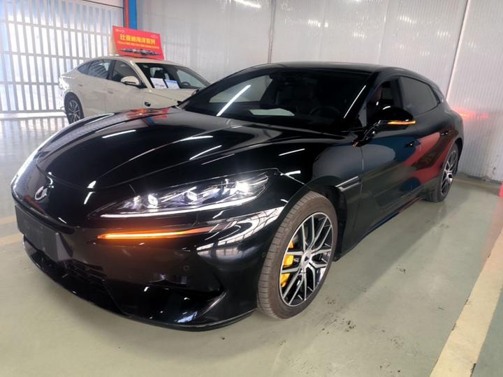 Z9GT 2024 1100 AWD Max