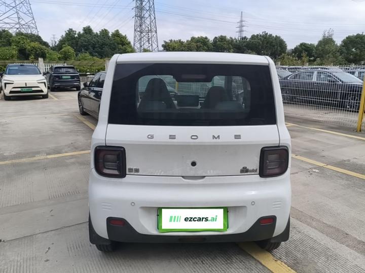 2023 Panda mini 200km Endurance Bear photo 3