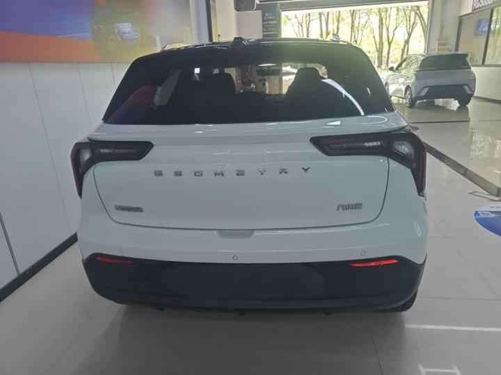 E Firefly 2023 401KM 5-Seater photo 3