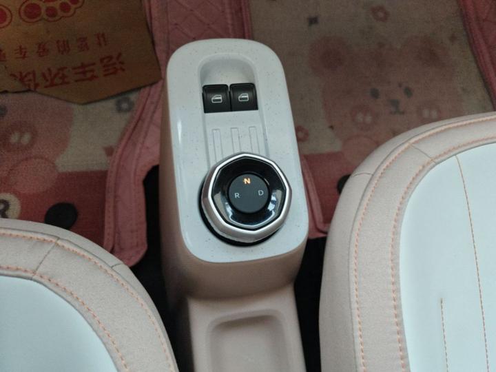 2023 Panda mini 200km Endurance Bear photo 8