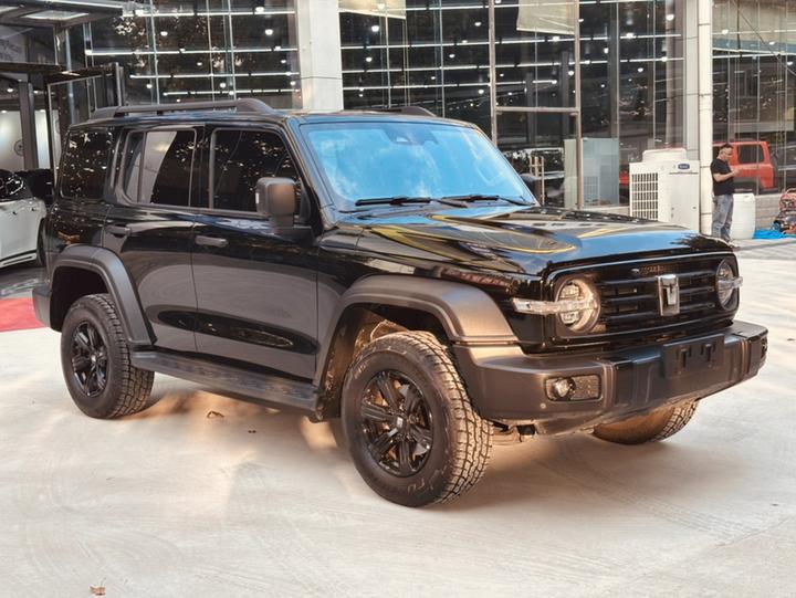 300 2023 Off-road 2.0T photo 3