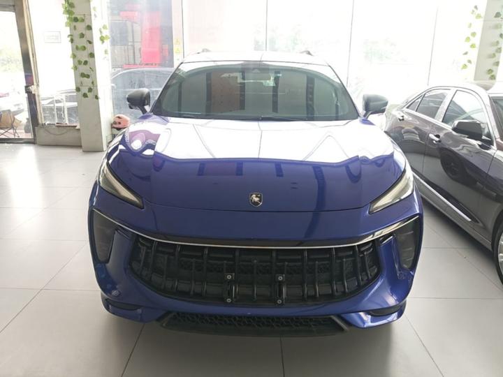Forthing T5 EVO 2021 1.5TD DCT photo 2