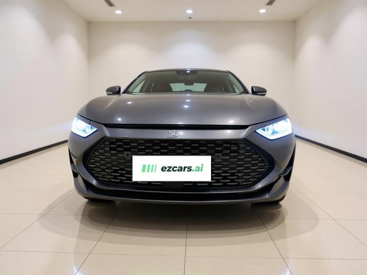 Han 2020 DM AWD Performance Luxury photo 2