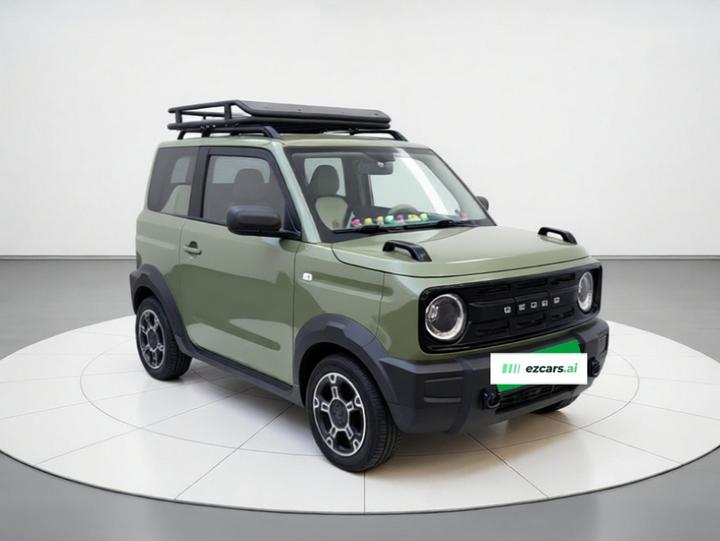 2025 210km Panda photo 3