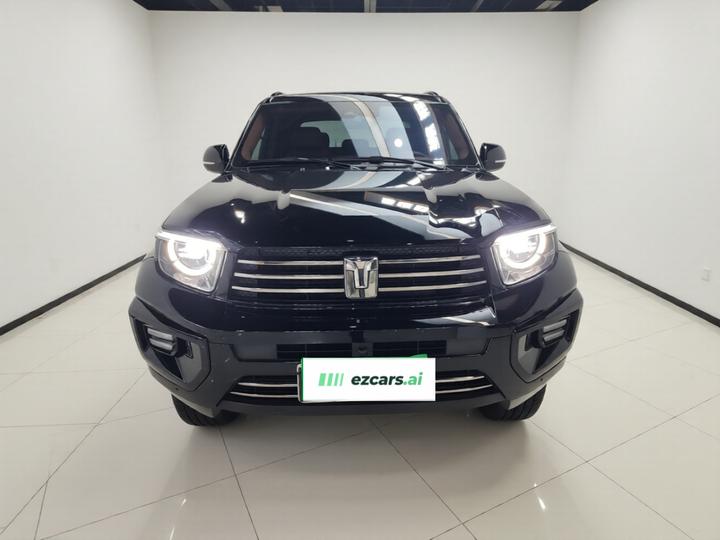 700 EV 2024 Hi4-T photo 2