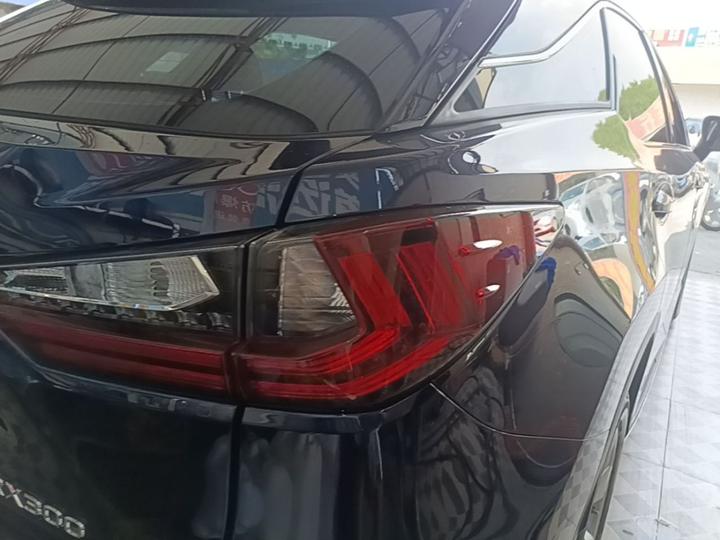 RX 2016 300 RWD Elite China V photo 7