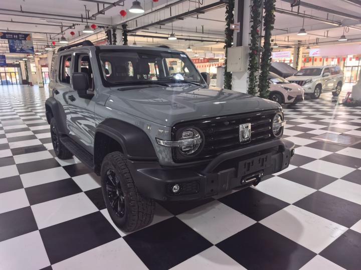 300 2021 Off-road 2.0T Conqueror photo 3