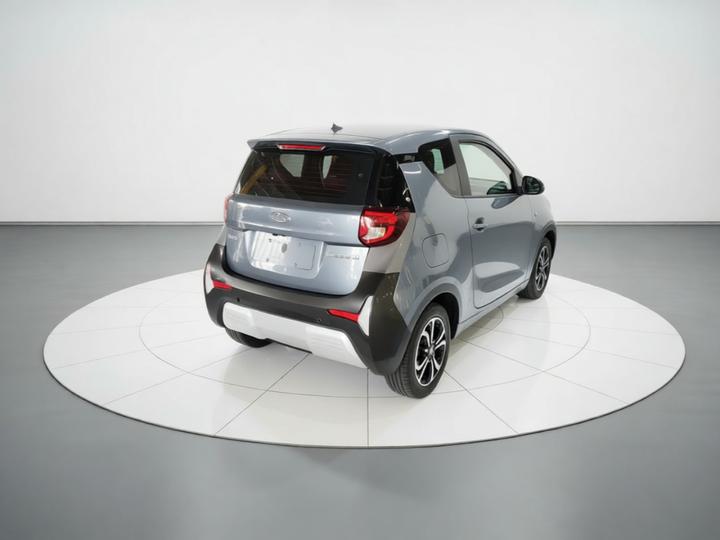 QQ Little Ant 2021 15 LFP photo 6