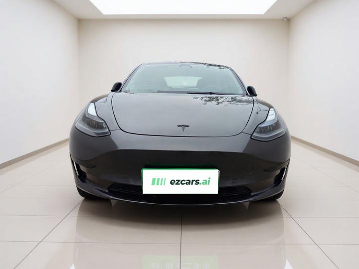 Model 3 2021 Facelift Standard Range RWD Upgraded 3D1 photo 2