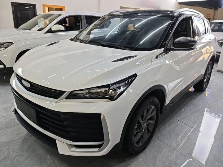 2025 Binyue L 1.5TD DCT