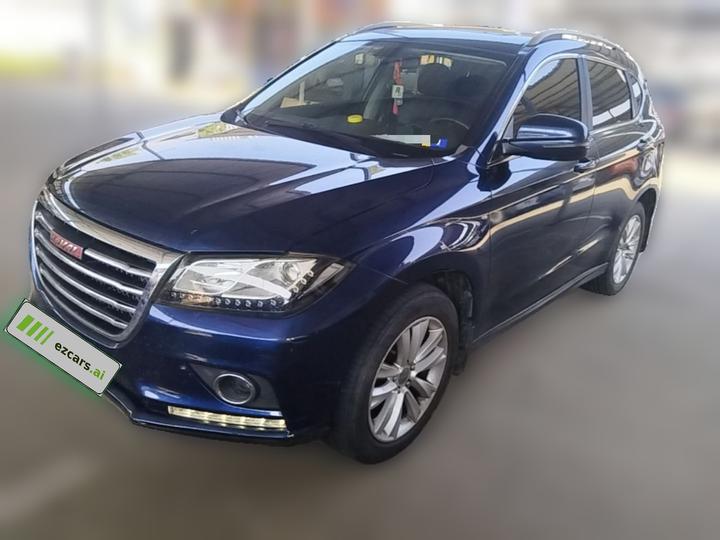 H2 2016 Red Label 1.5T AT RWD Luxury