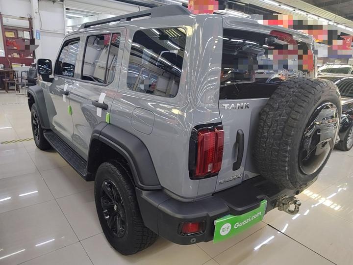 300 2021 Off-road 2.0T photo 4