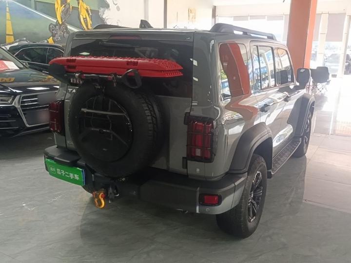 300 2021 Off-road 2.0T Conqueror photo 4
