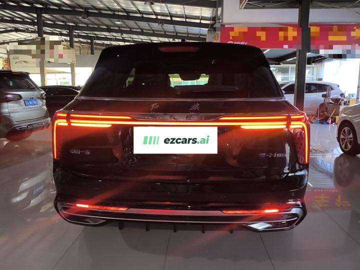 E-HS9 2021 460km 6-Seater photo 3