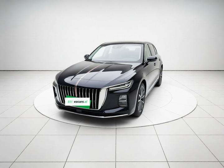 H5 PHEV 2025 130 photo 2
