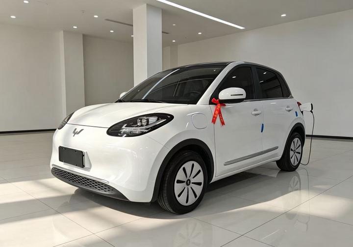 Wuling Bingo 2024 203km