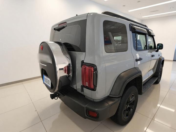 300 2021 Off-road 2.0T Conqueror photo 5