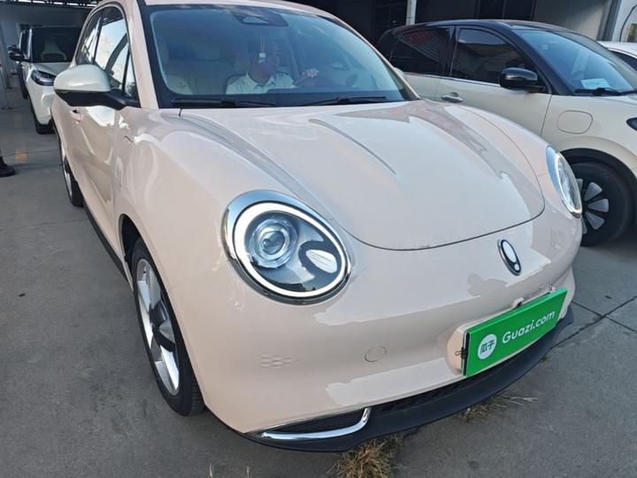 Good Cat 2021 400km Standard Range NCM photo 3