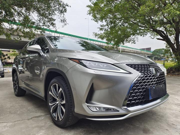 RX 2020 Facelift 300 AWD Elegant photo 3