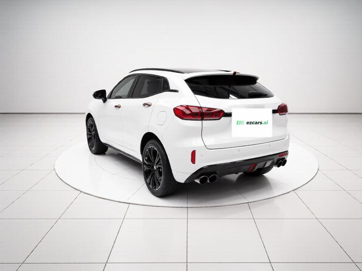 VV5 2019 Upgraded 2.0T RWD Flagship China V photo 4
