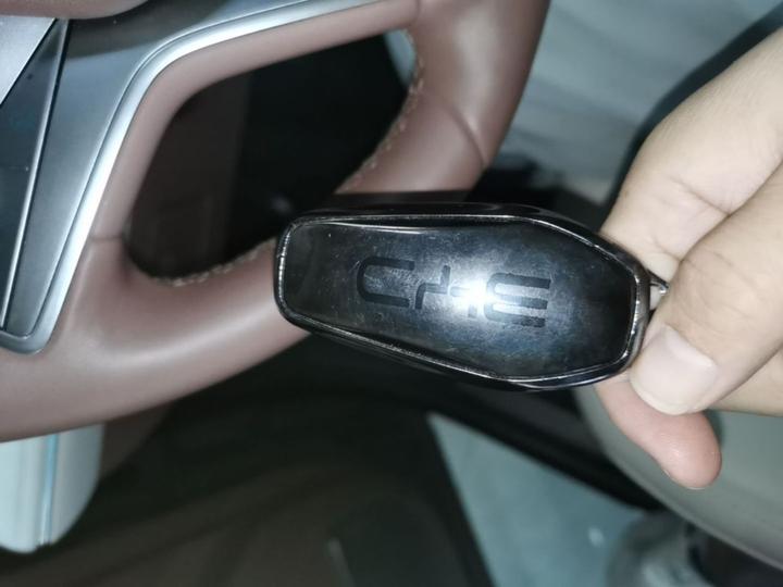 2025 DM-i 1.5T 100km photo 8